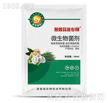 �[�������-΢�������-���