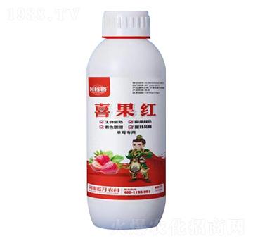 1000�˲�ݮ��(zhu��n)��ϲ���t-��ڌ�-�{(l��n)���r(n��ng)��