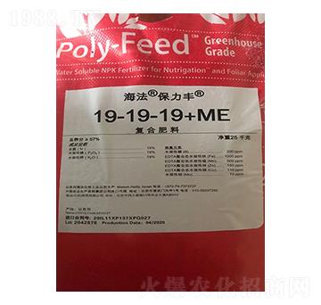 �ͺϷ���19-19-19+ME-�����������S-����