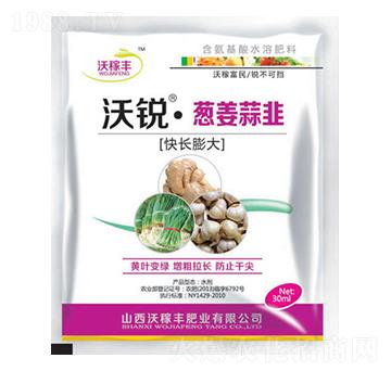 沃銳蔥姜蒜韭(快長(zhǎng)膨大)-沃稼豐肥業(yè)