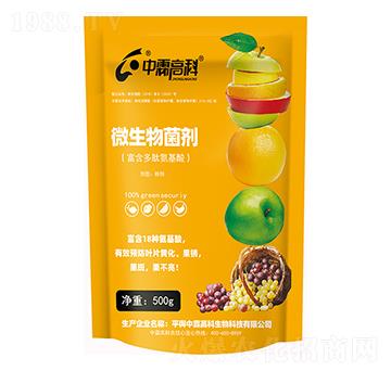 ΢����������������İ����ᣩ-���ظ߿�