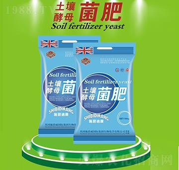 ������ĸ����-ʩ�̵Ͽ�-ʩ�Z��