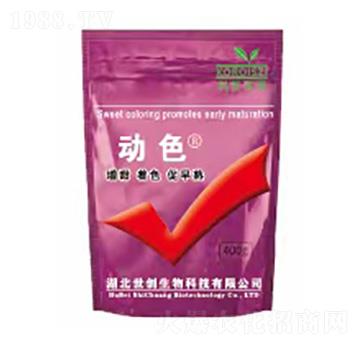 ��(d��ng)ɫ-����(chu��ng)����