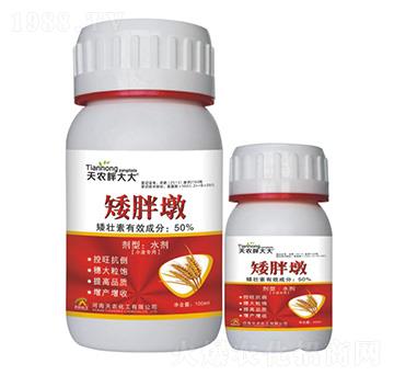 С����(zhu��n)��-���ֶ�-���r(n��ng)�ִ��-���r(n��ng)����