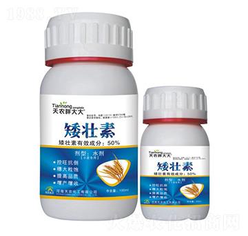 С�����ð�����-���r(n��ng)�ִ��-���r(n��ng)����