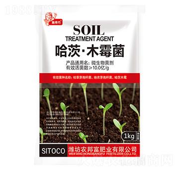 ���ġ�ľù��-�r(n��ng)�