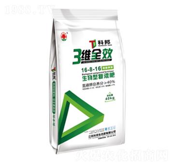 �����͏�(f��)���16-8-16-�ư�