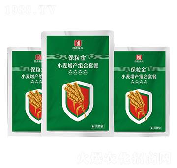 С�����a(ch��n)�M���ײ�-������-�n�����r(n��ng)