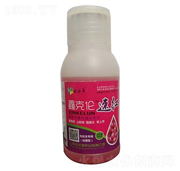 �ο˂��ټt-�S��Դ