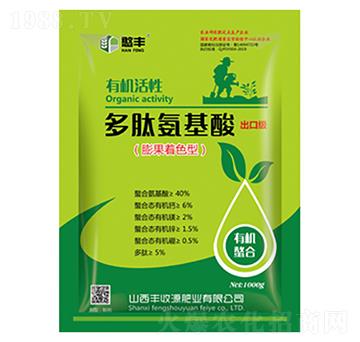 �����ɫ�Ͷ��İ�����-�S��Դ