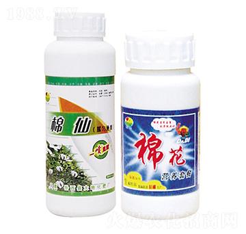 ���ɠI(y��ng)�B(y��ng)�ײ�-��ػ���