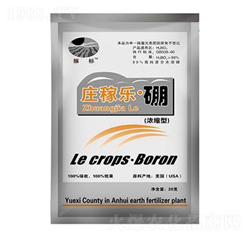 20g�f�ژ�(l��)����-���(bi��o)-��ػ���