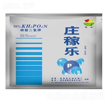 500g�f�Ҙ�(l��)��������-���(bi��o)-��ػ���