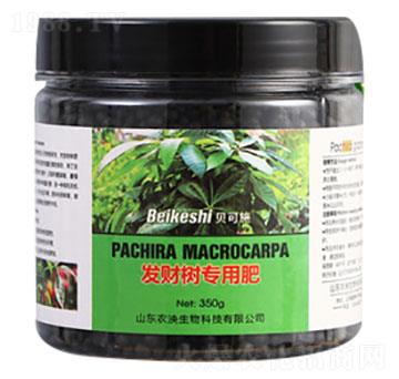 發(fā)財(cái)樹(shù)專(zhuān)用肥料-貝可施-農(nóng)泱生物