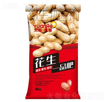 ����һƷ��-Ԫ���r�I(y��)