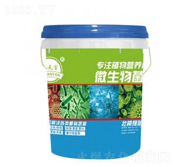 20kg΢�������-�����S