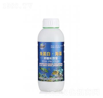 1000ml�~(y��)���ס�����-�����S