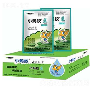 小螞蟻藍(lán)-綠四方