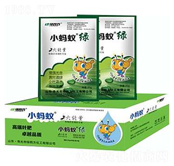 小螞蟻綠-綠四方