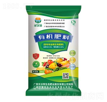 �ЙC����-�A����