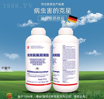 10%��Ч�ȷ������-��ռ�r�Y