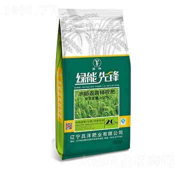 水稻返青柯叉肥-綠能先鋒-呂洋肥業(yè)