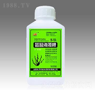 �|̦�����-�������