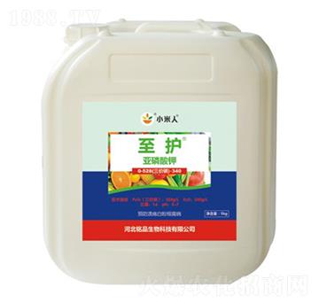 ���o(h��)�������-С����-�Ʒ����