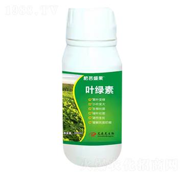 �~�G��-�ʰ�ʢ��-��(��i)ɭ��