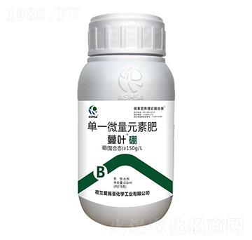 ���~���-��ʩ��