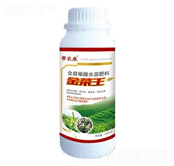 �����-���r��-���r