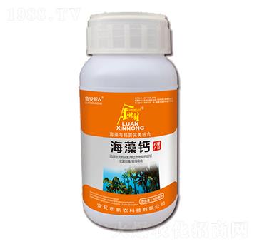 �����}-�����-���r(n��ng)