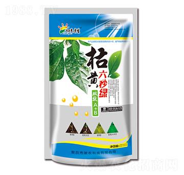 ���S����G�pЧA+B-���r(n��ng)