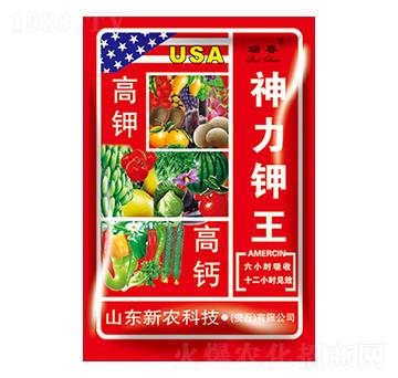 ��⛸��}�������-��-���r