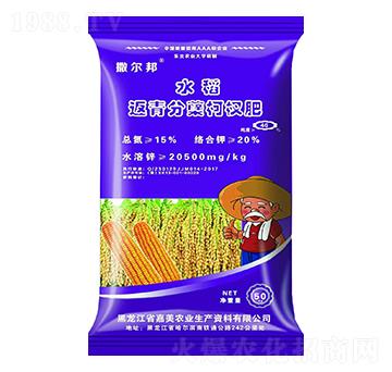 水稻返青分葉柯杈肥-撒爾邦-嘉美