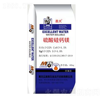 ������}�V-�δ�-����