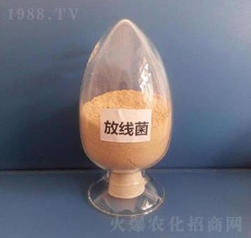 �ž������ۄ���-��������