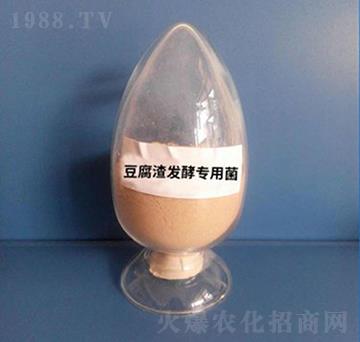 �������l(f��)�͌��þ����ۄ���-��������