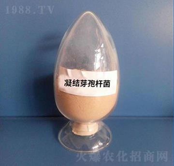 ���Y(ji��)ѿ�ߗU�����ۄ���-��������