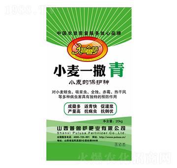 С��һ����-�����_