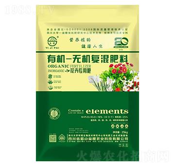 ���܌����ЙC�o�C�ͻ��-���