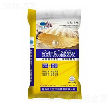 ��ؐ�����}��-��֮�{(l��n)