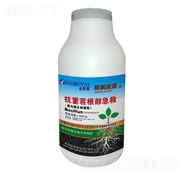 ���ز��������-��֮�{