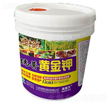 �����S���-��������