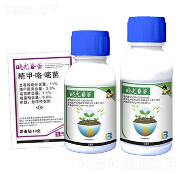 11%精甲·咯·嘧菌-曉光春蕾-盈輝