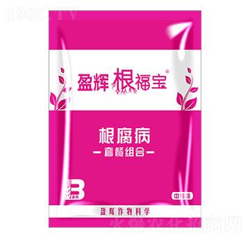 �������ײͽM��-������-ӯ�x