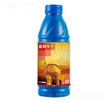 20�|PIBÿ��������x���Ͷ���w������1000g��-Ψ��-ӯ�x