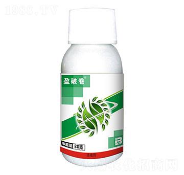 0.5%�װ������S���أ�80g��-ӯ�ƾ�-ӯ�x