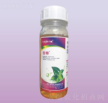 ���ؚ��x��-��������