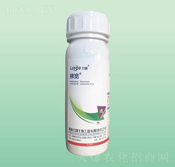 �������x��-��������